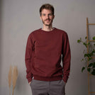 Vrido - Regular Fit Sweater aus Biobaumwolle, Burgundy